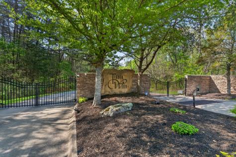0 Timberwood Trace Lot 310 Monteagle TN 37356