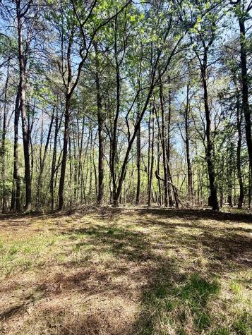 0 Timberwood Trace Lot 310 Monteagle TN 37356