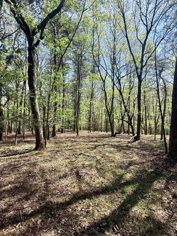 0 Timberwood Trace Lot 310 Monteagle TN 37356