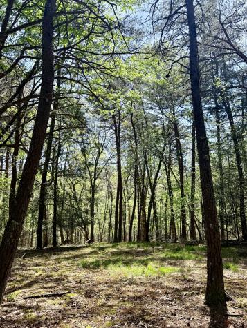 0 Timberwood Trace Lot 310 Monteagle TN 37356