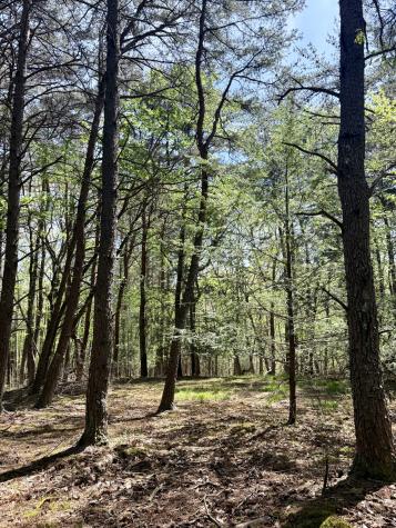 0 Timberwood Trace Lot 310 Monteagle TN 37356