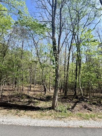 0 Timberwood Trace Lot 310 Monteagle TN 37356