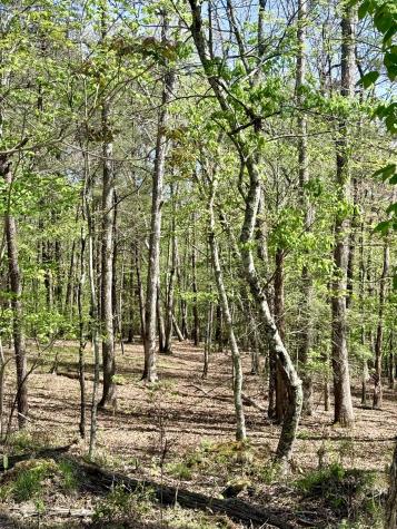 0 Timberwood Trace Lot 310 Monteagle TN 37356