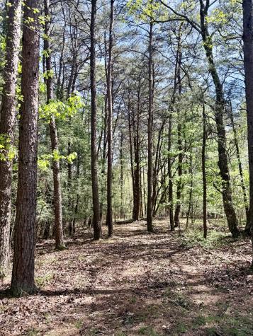 0 Timberwood Trace Lot 310 Monteagle TN 37356