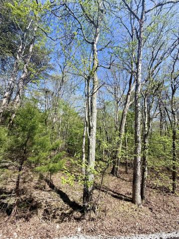 0 Timberwood Trace Lot 310 Monteagle TN 37356