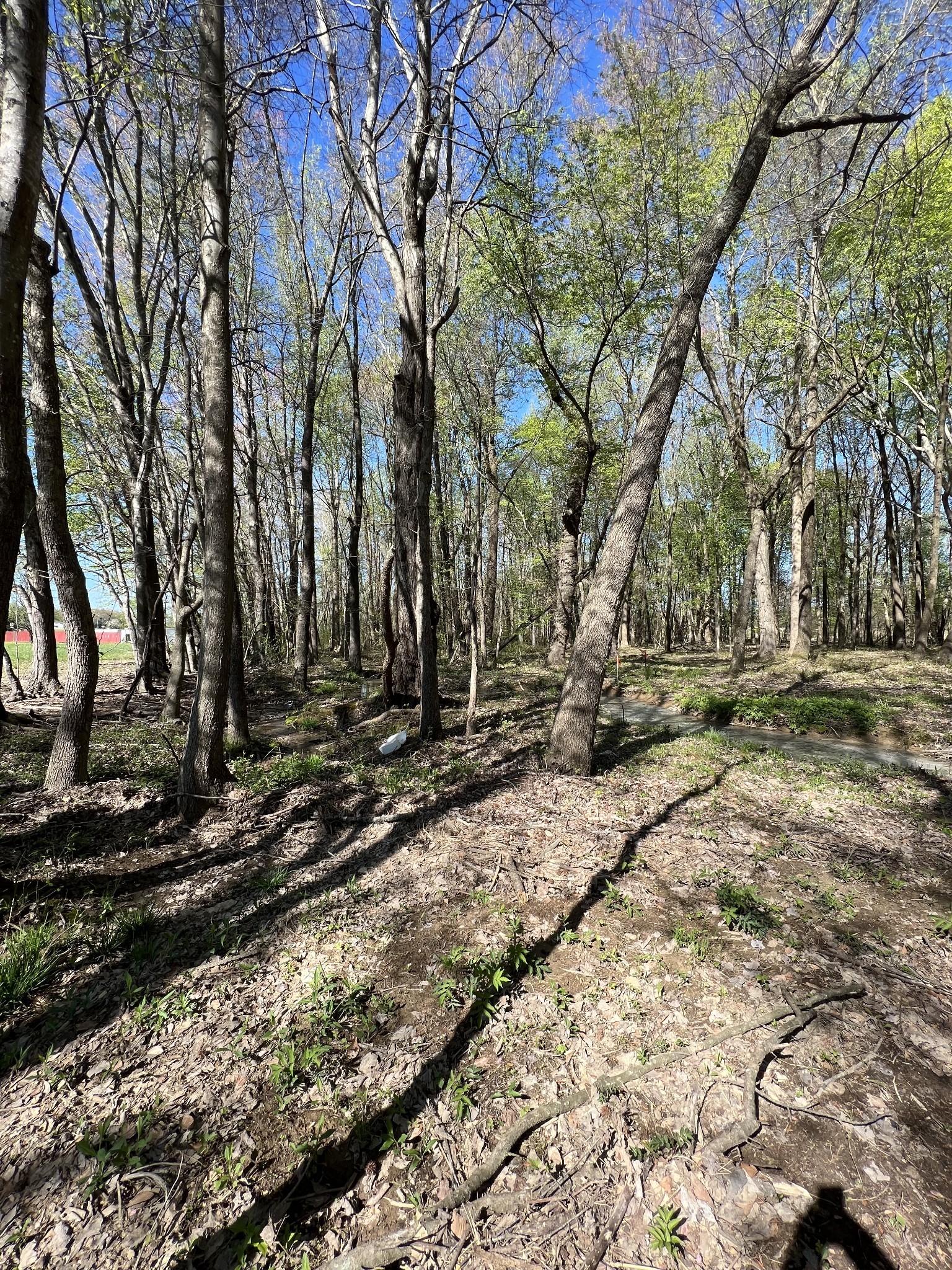 21 Highway 52e Lafayette TN 37083