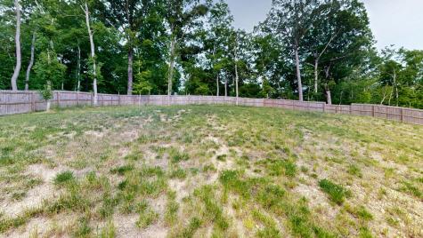 117 Rooster Street Indian Mound TN 37079