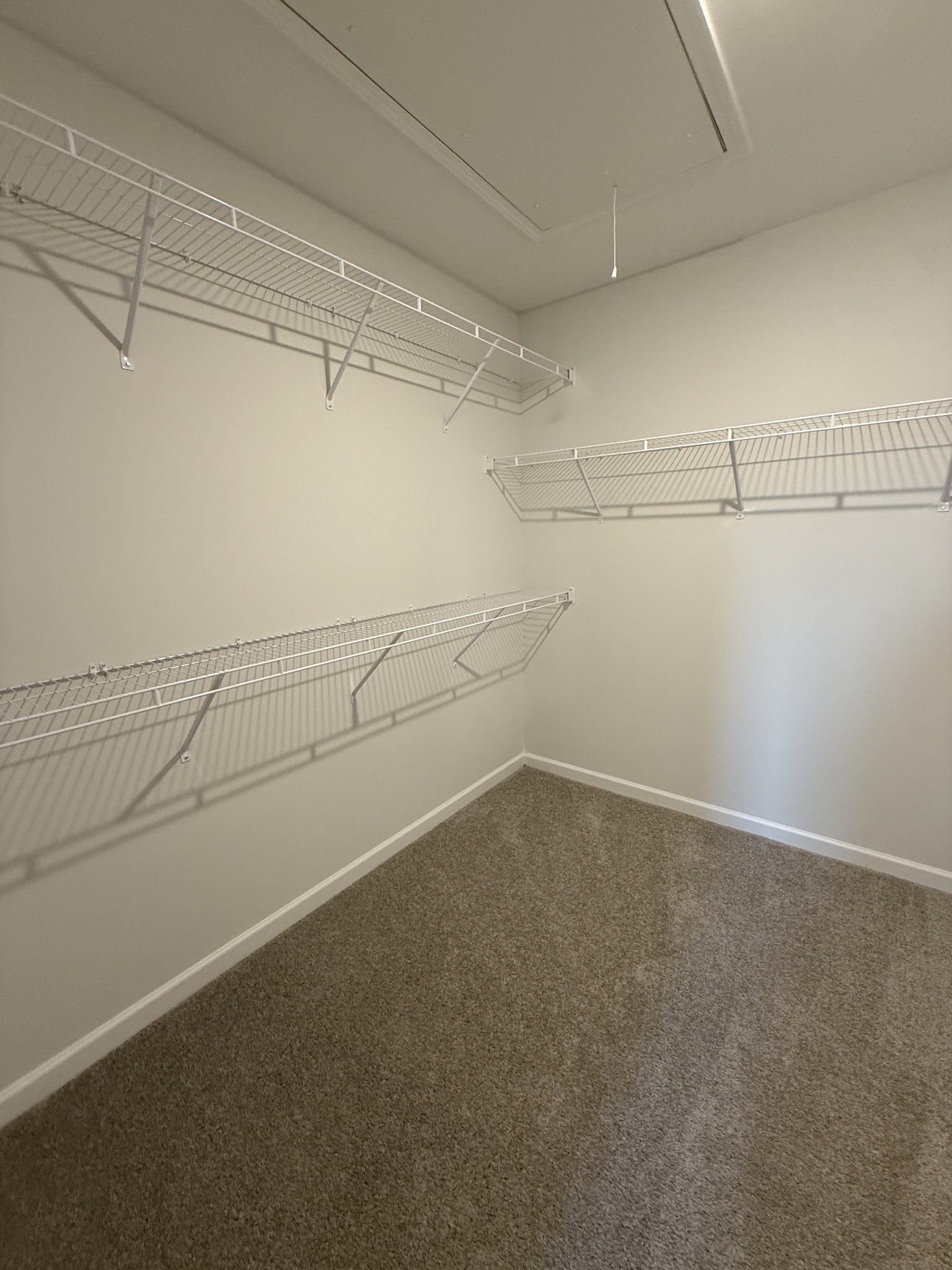 294 Selesia Lane Pleasant View TN 37146
