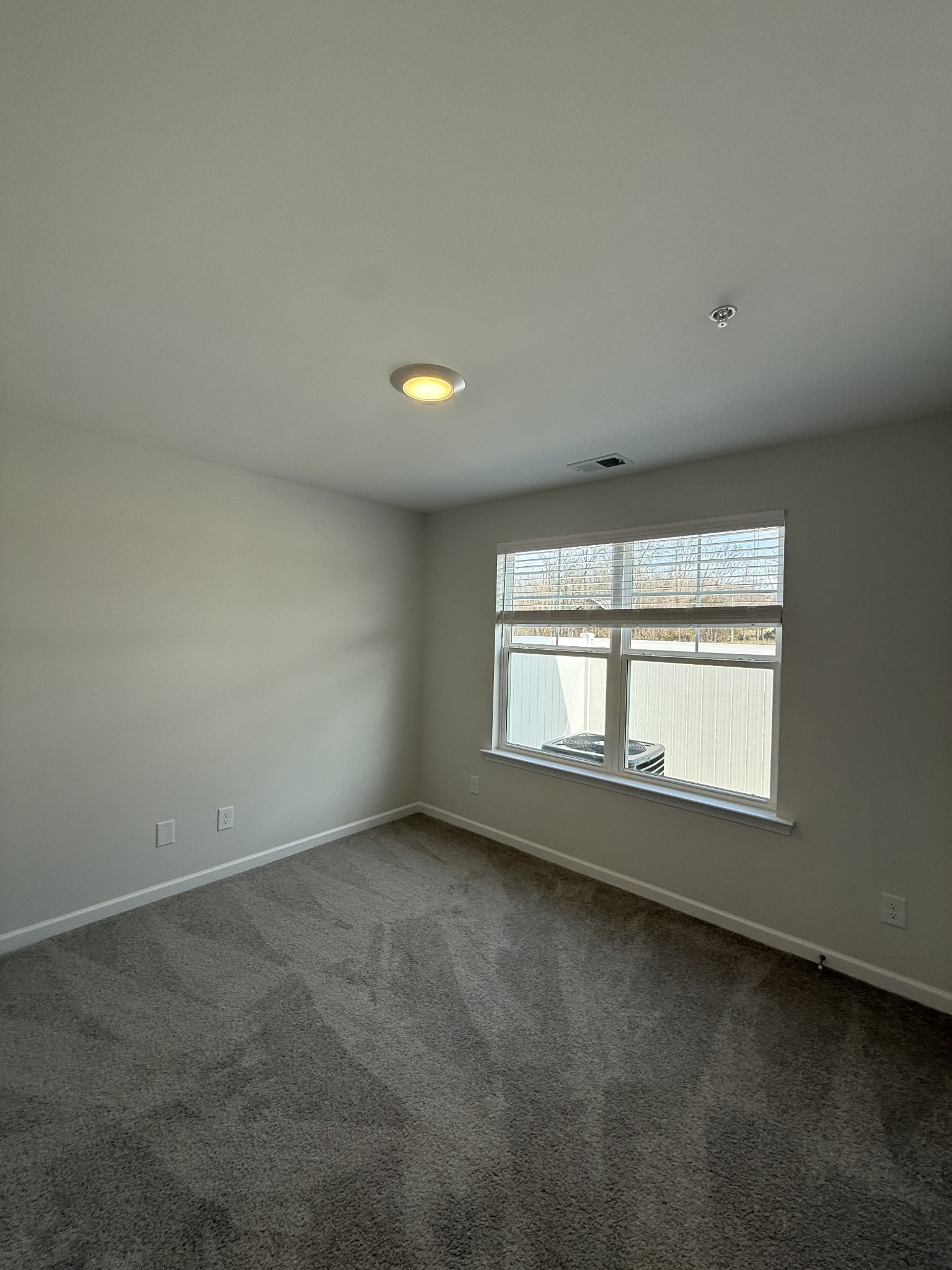294 Selesia Lane Pleasant View TN 37146