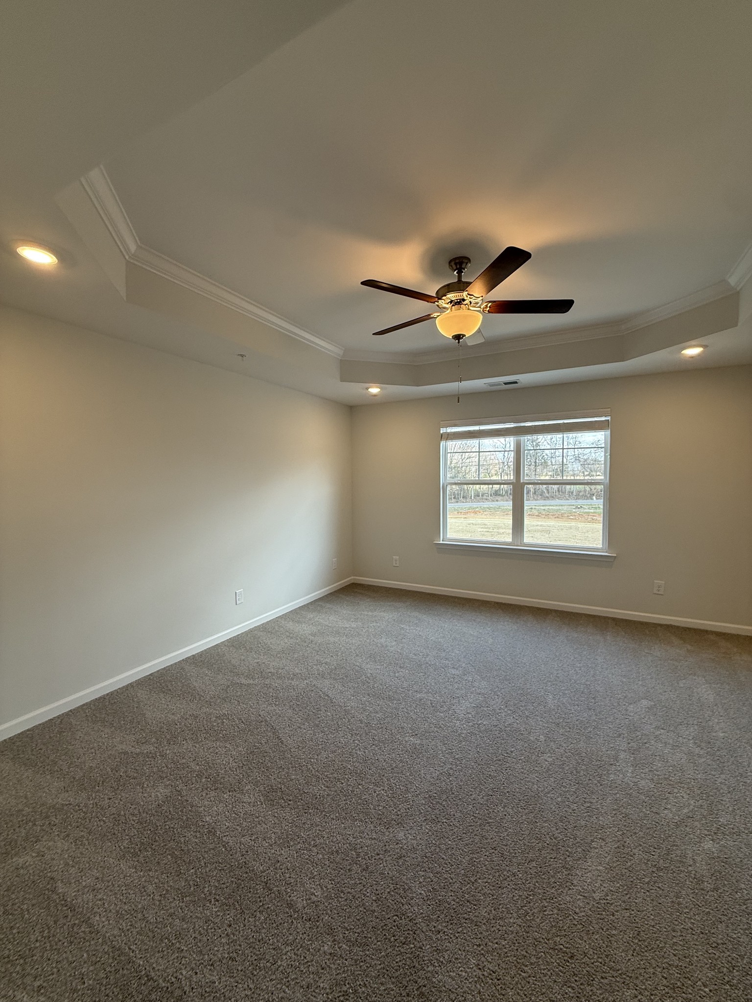 294 Selesia Lane Pleasant View TN 37146