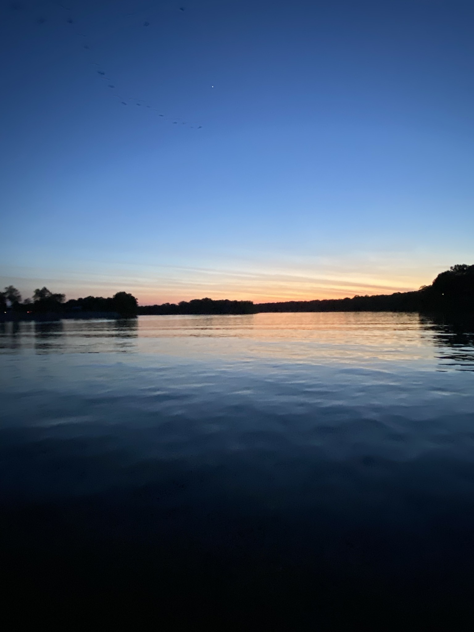 0 River Front Drive Clifton TN 38425