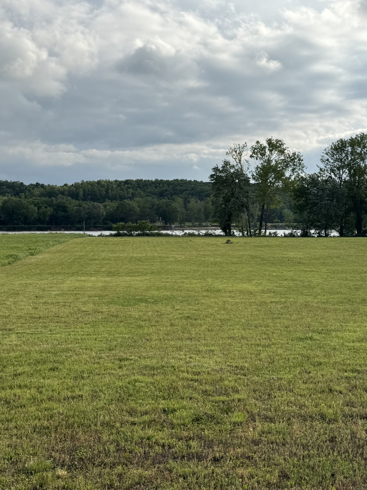 0 River Front Drive Clifton TN 38425
