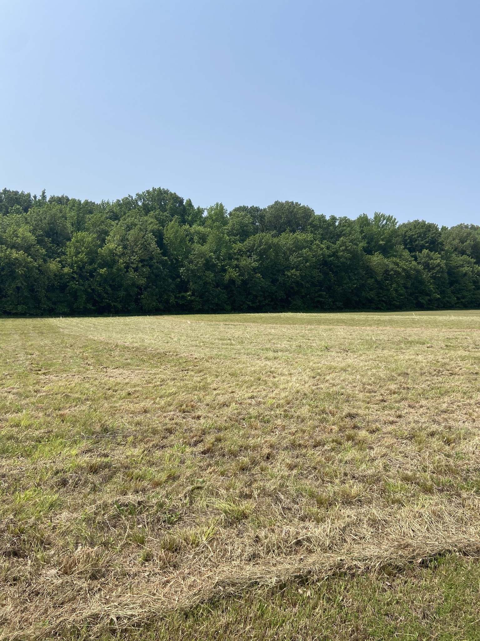 0 River Front Drive Clifton TN 38425