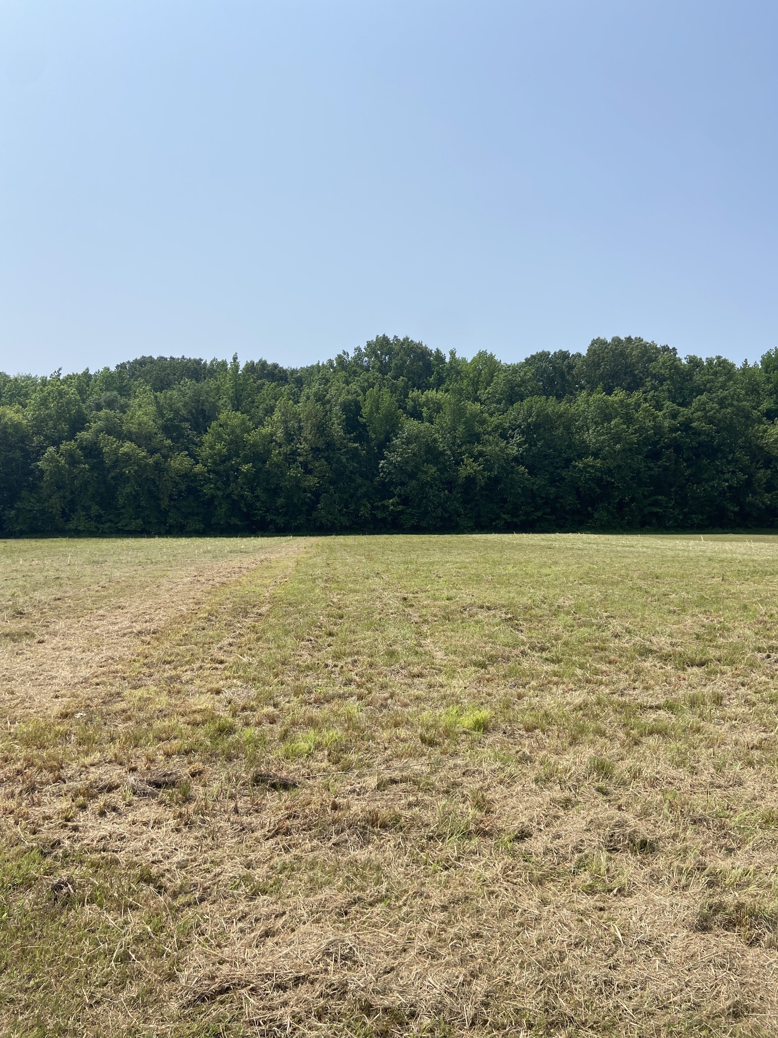 0 River Front Drive Clifton TN 38425