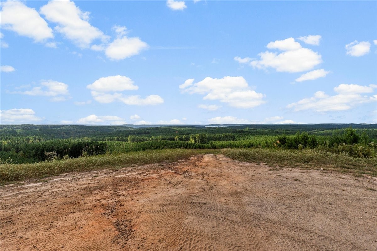0 Fox Lane Savannah TN 38372
