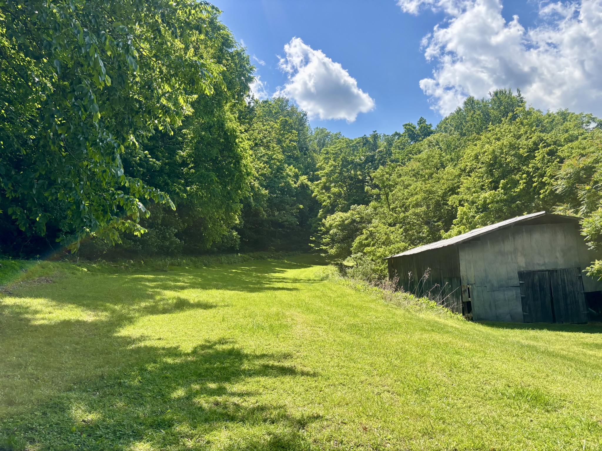 8 Matthews Mountain Lane Carthage TN 37030