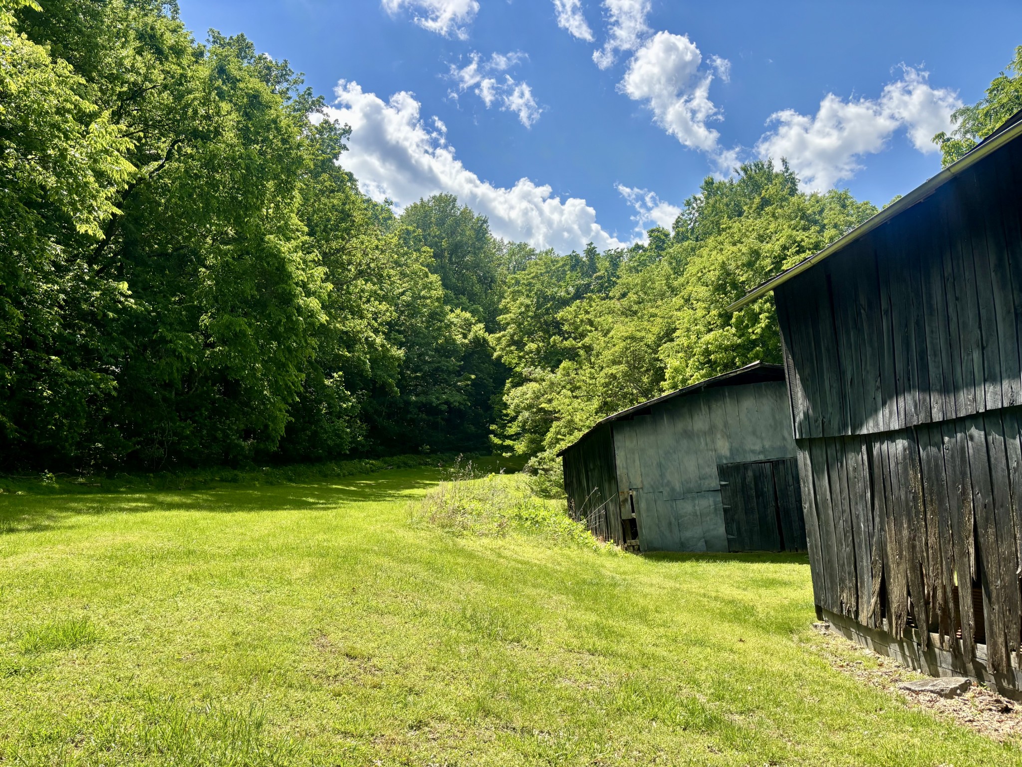 8 Matthews Mountain Lane Carthage TN 37030