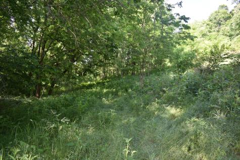 0 Brooks Bend Lane Gainesboro TN 38562