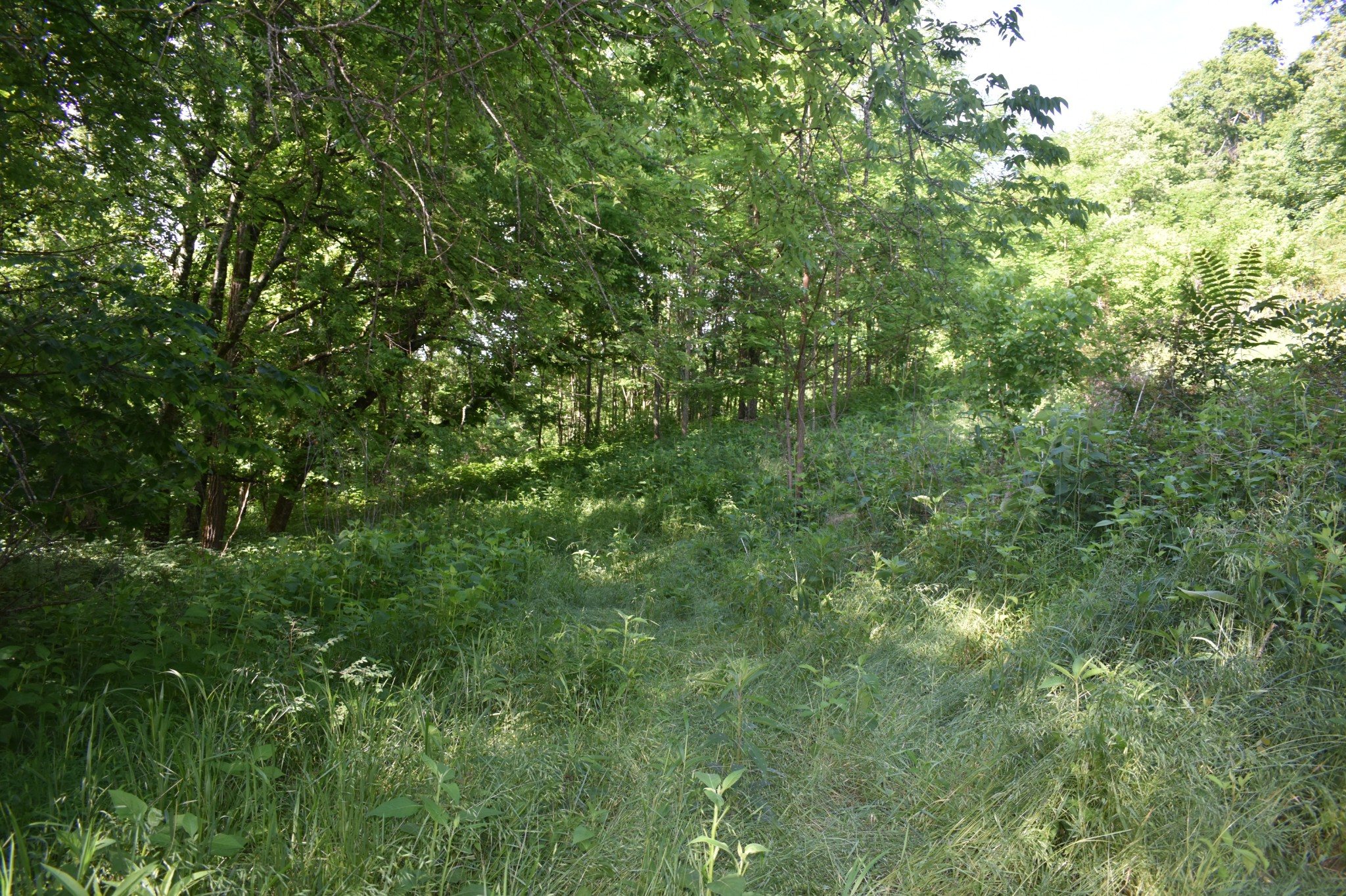 0 Brooks Bend Lane Gainesboro TN 38562