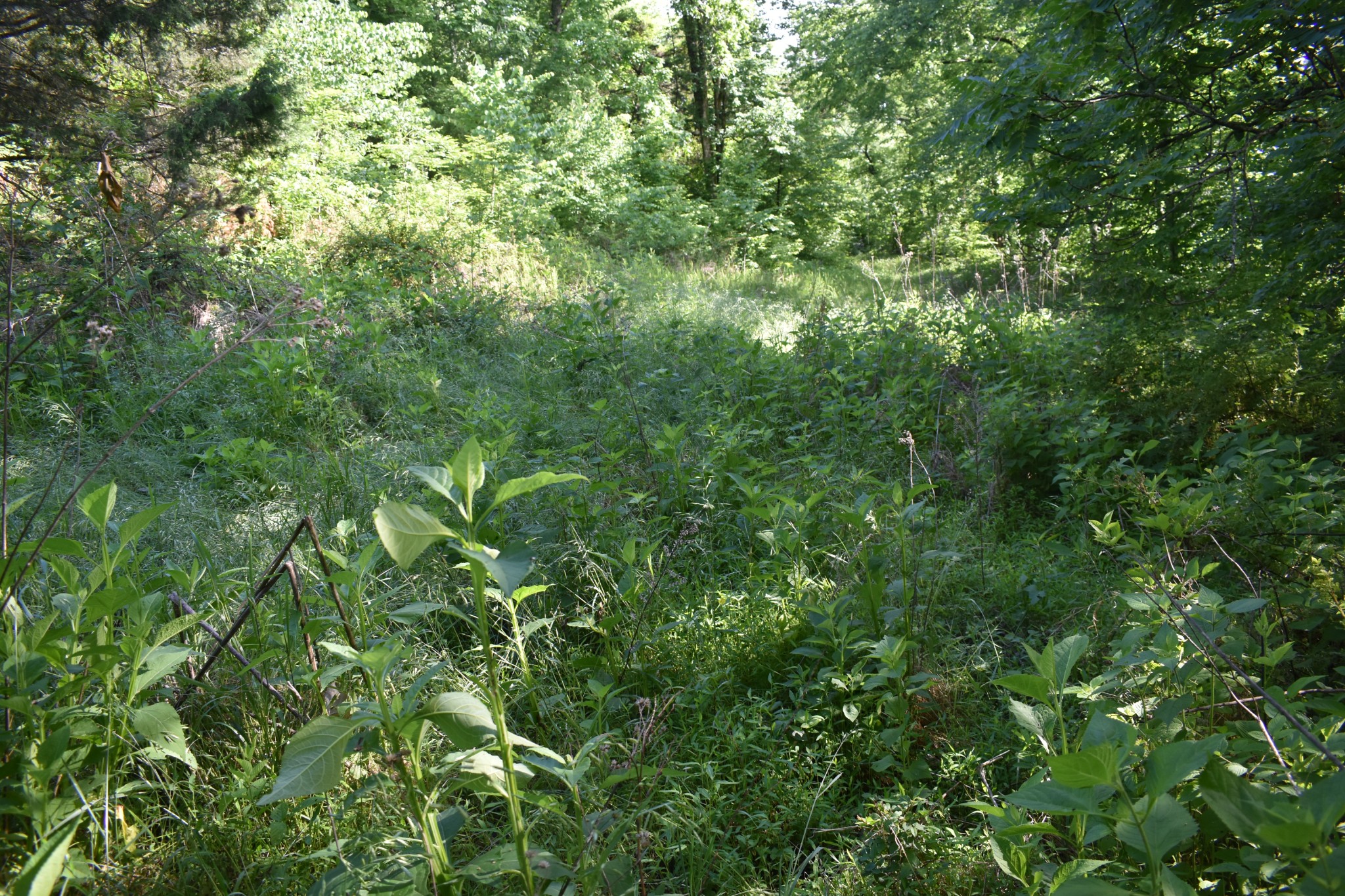 0 Brooks Bend Lane Gainesboro TN 38562