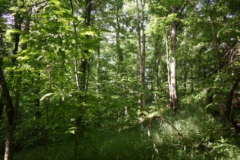 0 Brooks Bend Lane Gainesboro TN 38562