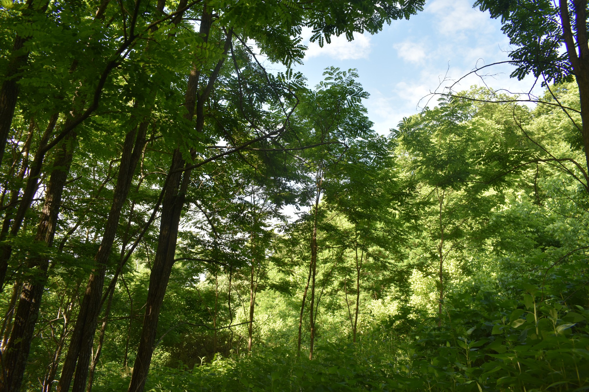0 Brooks Bend Lane Gainesboro TN 38562