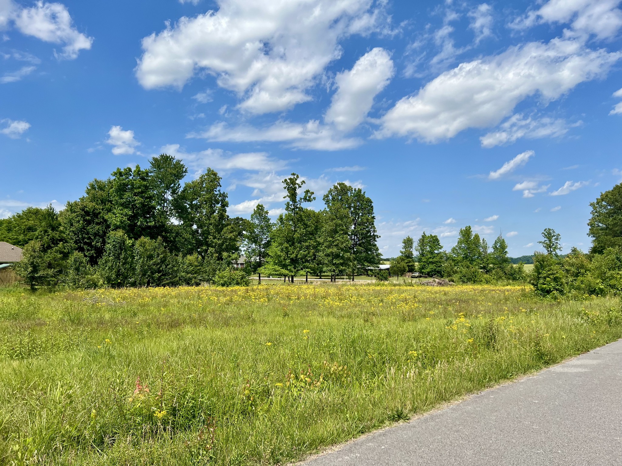 0 Salem Lane Lawrenceburg TN 38464