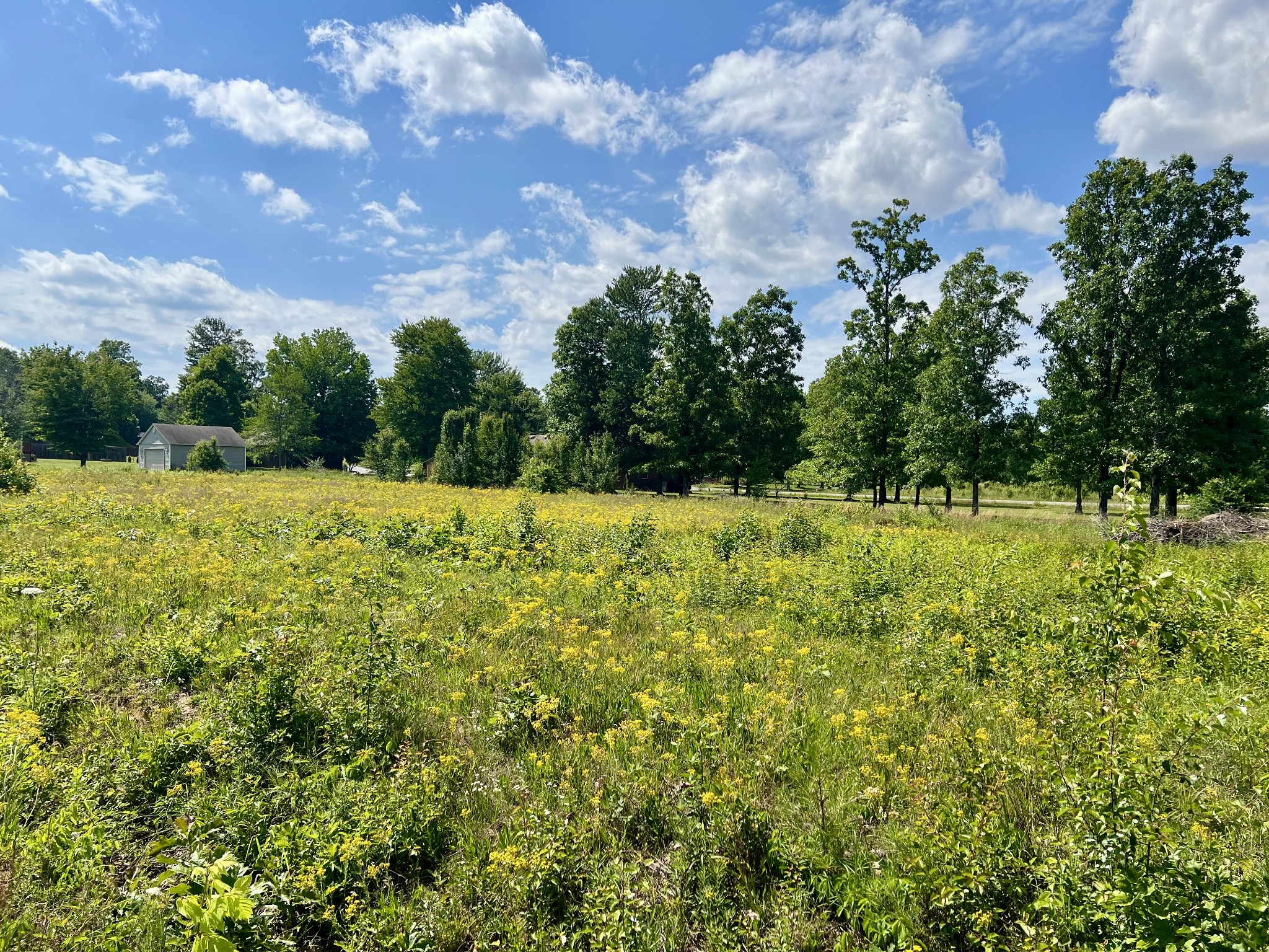 0 Salem Lane Lawrenceburg TN 38464