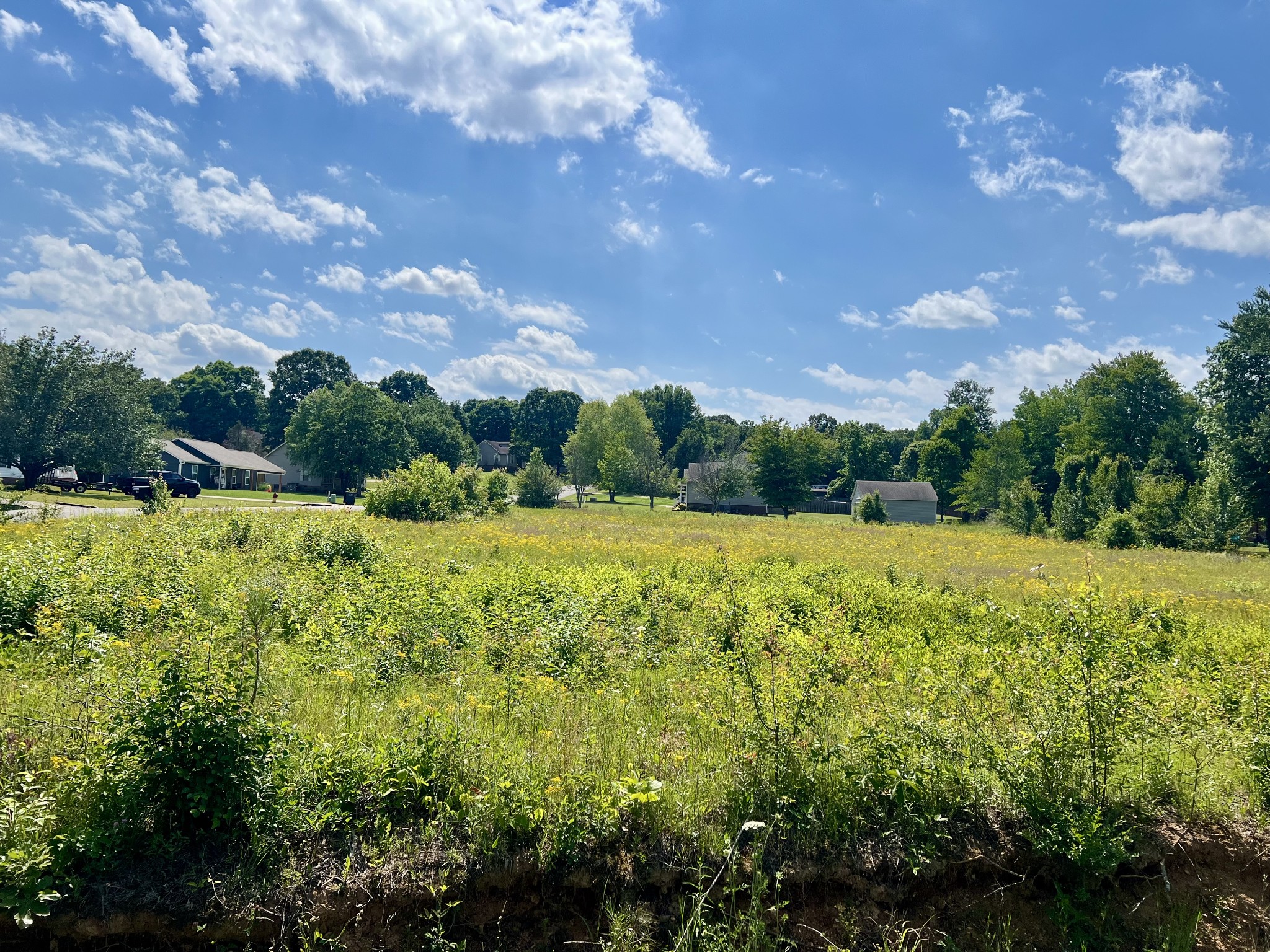 0 Salem Lane Lawrenceburg TN 38464