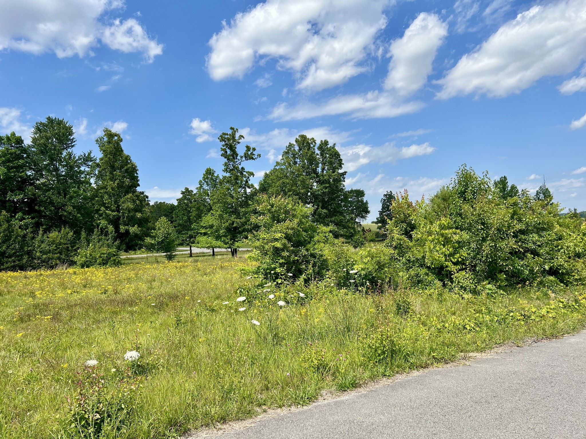0 Salem Lane Lawrenceburg TN 38464