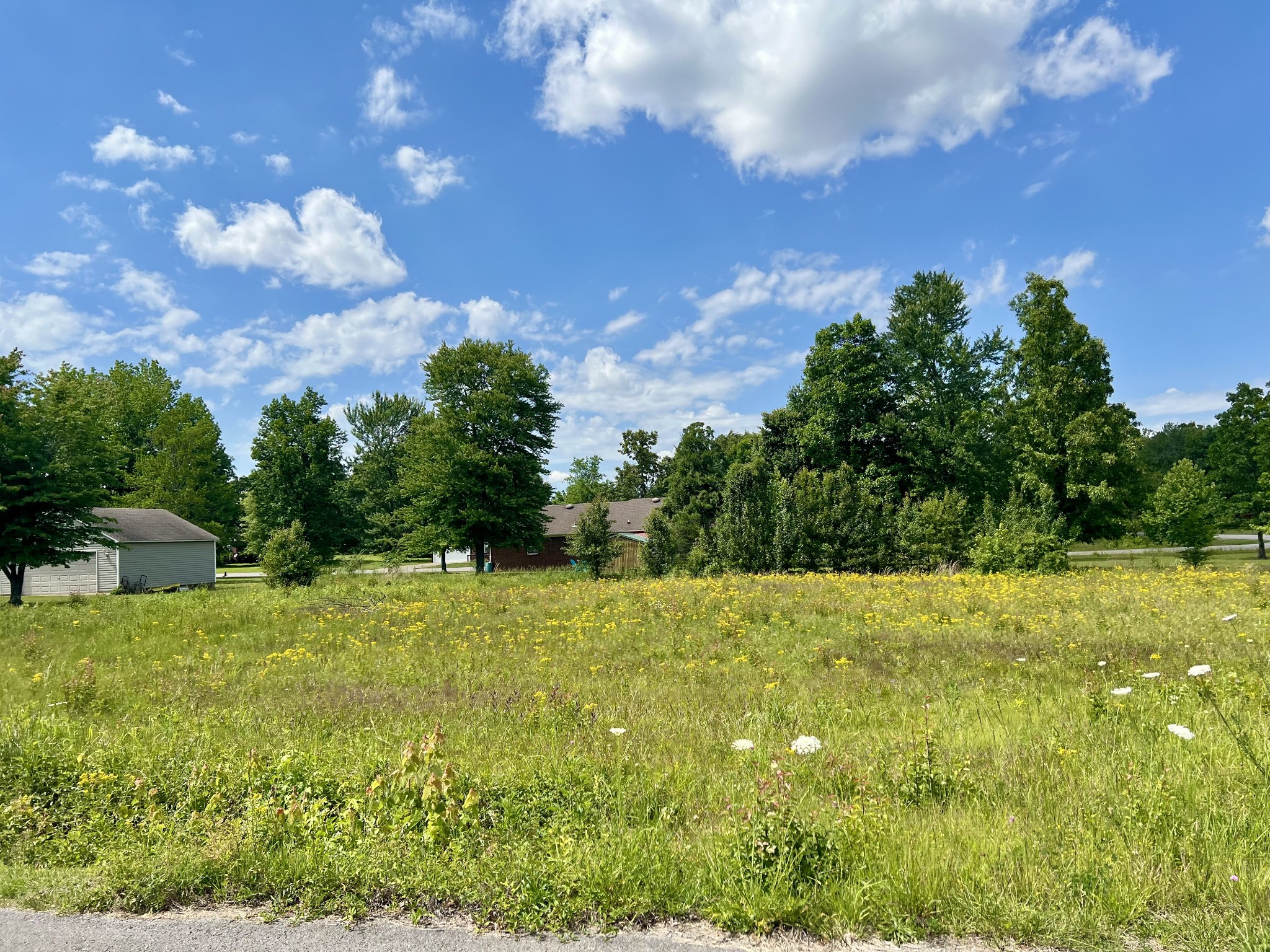0 Salem Lane Lawrenceburg TN 38464