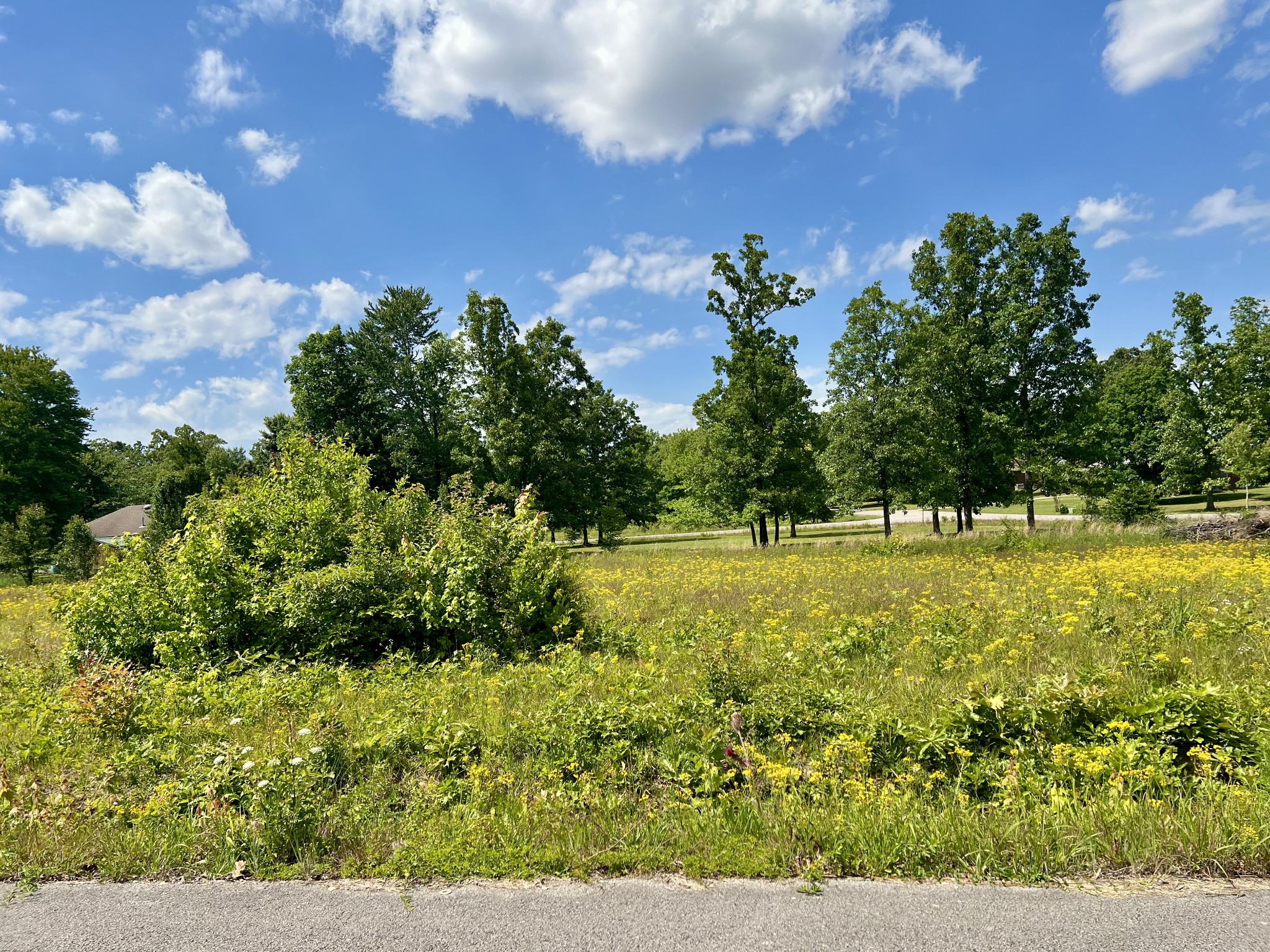 0 Salem Lane Lawrenceburg TN 38464