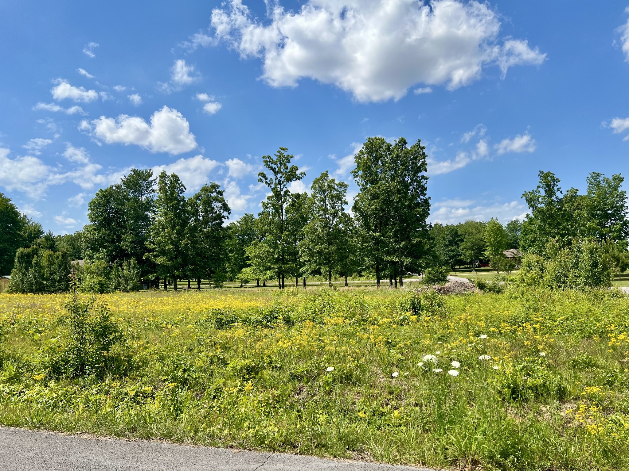 0 Salem Lane Lawrenceburg TN 38464