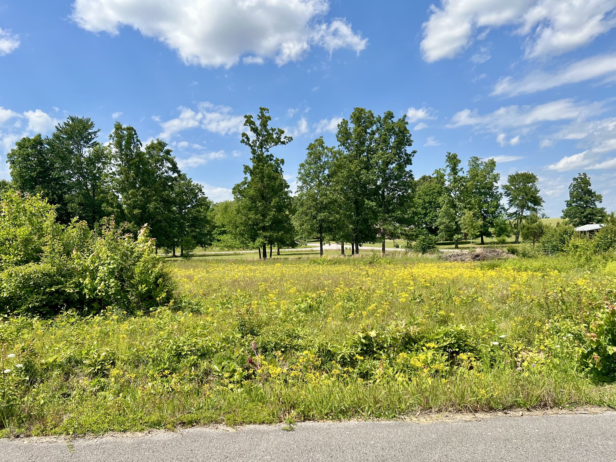 0 Salem Lane Lawrenceburg TN 38464