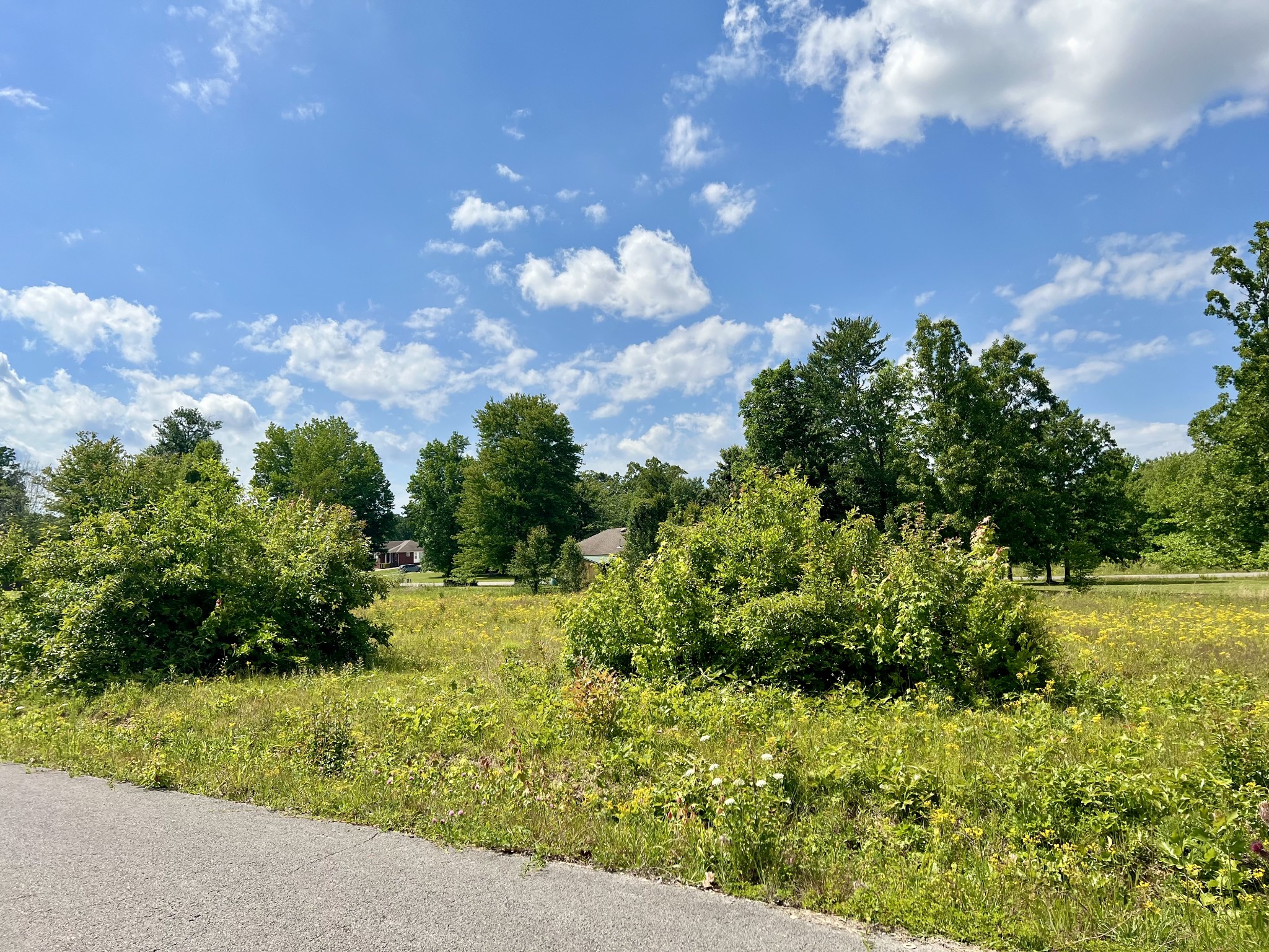 0 Salem Lane Lawrenceburg TN 38464