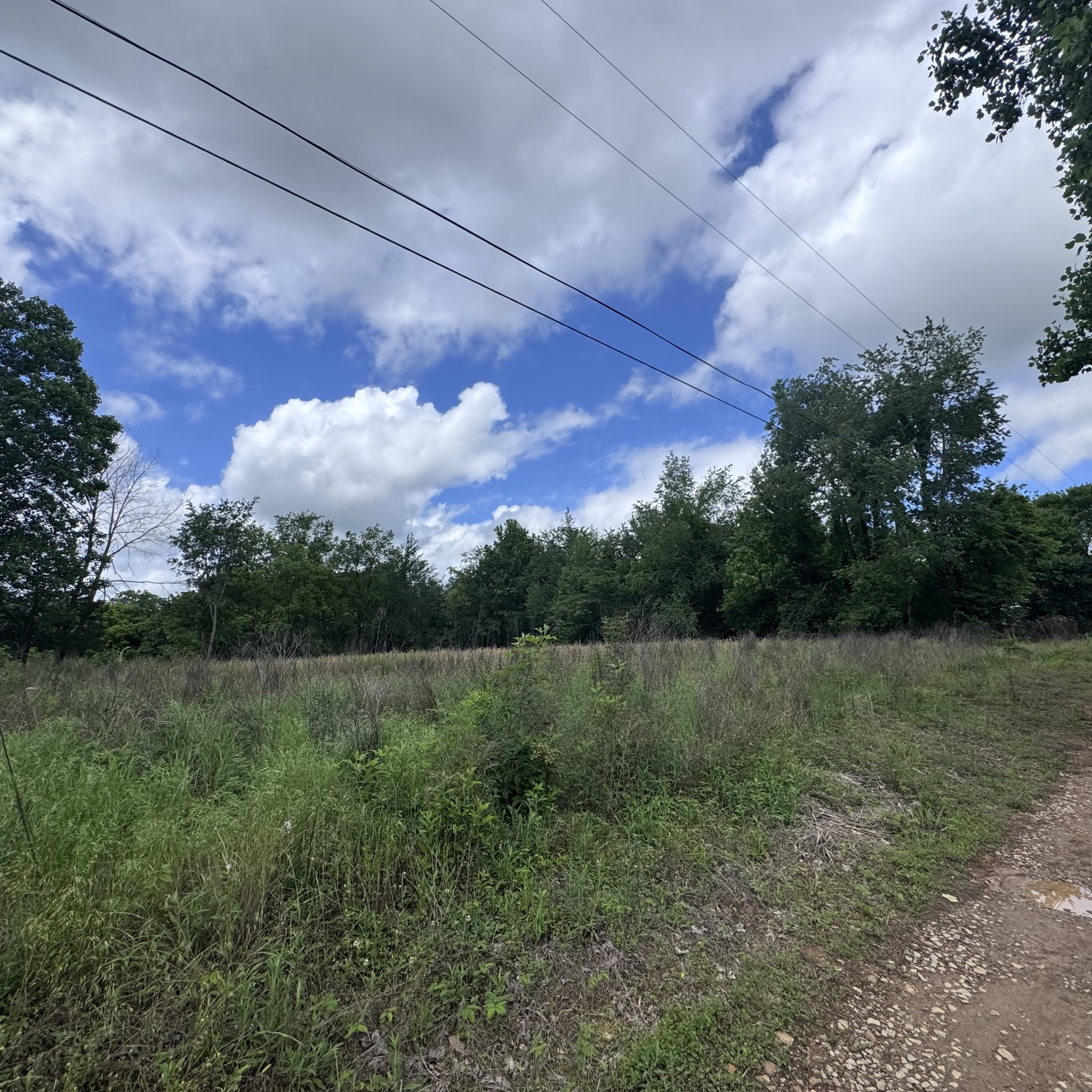 5 Poplar Ridge Lane Chapmansboro TN 37035