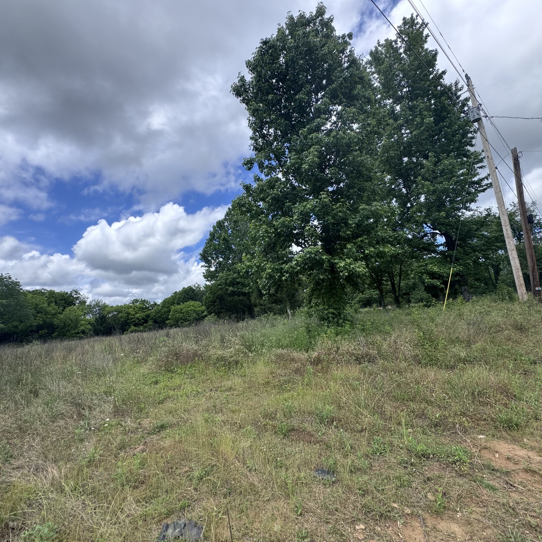 5 Poplar Ridge Lane Chapmansboro TN 37035