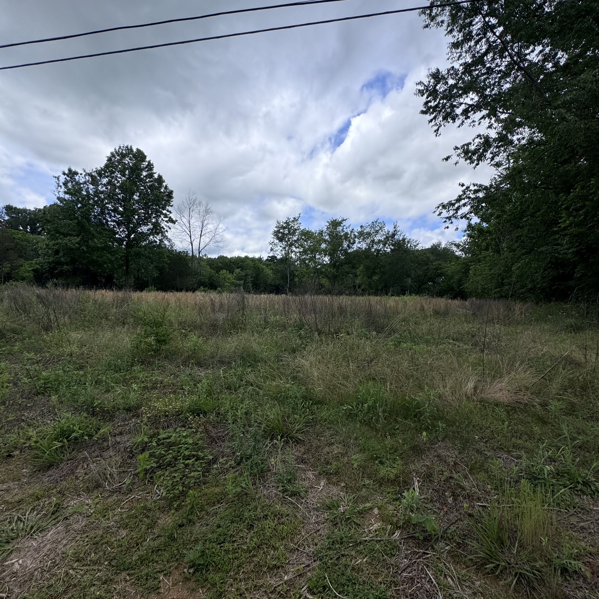 5 Poplar Ridge Lane Chapmansboro TN 37035