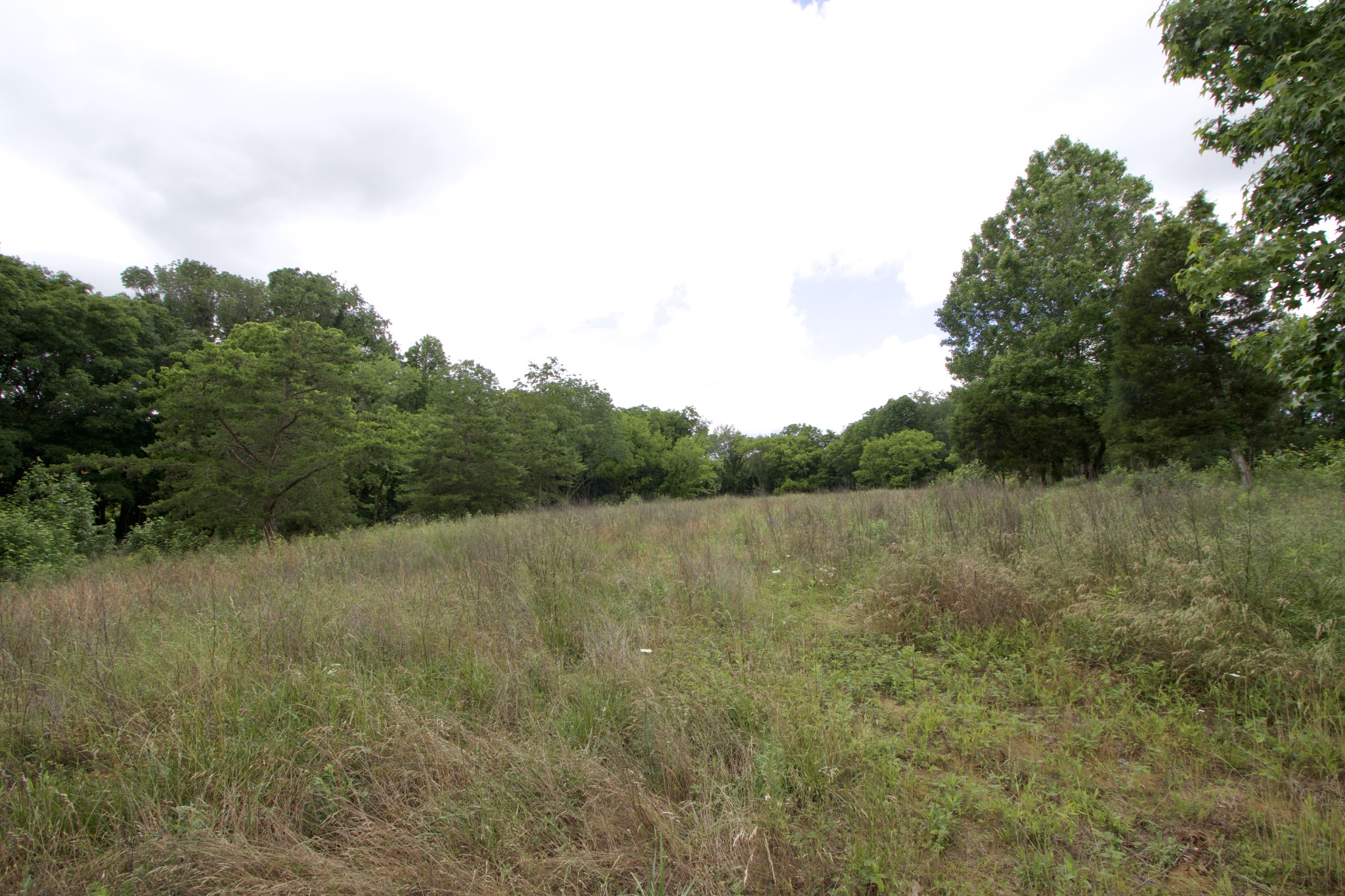 5 Poplar Ridge Lane Chapmansboro TN 37035