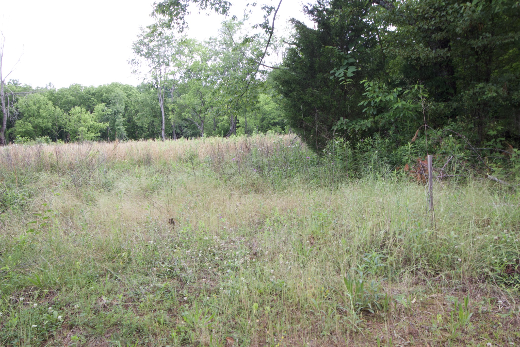 5 Poplar Ridge Lane Chapmansboro TN 37035