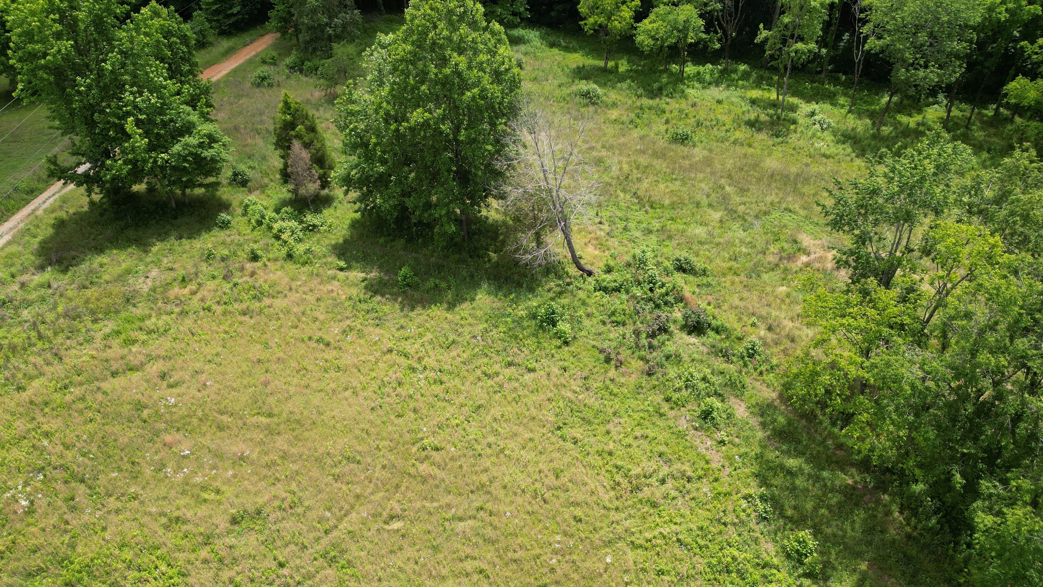 5 Poplar Ridge Lane Chapmansboro TN 37035