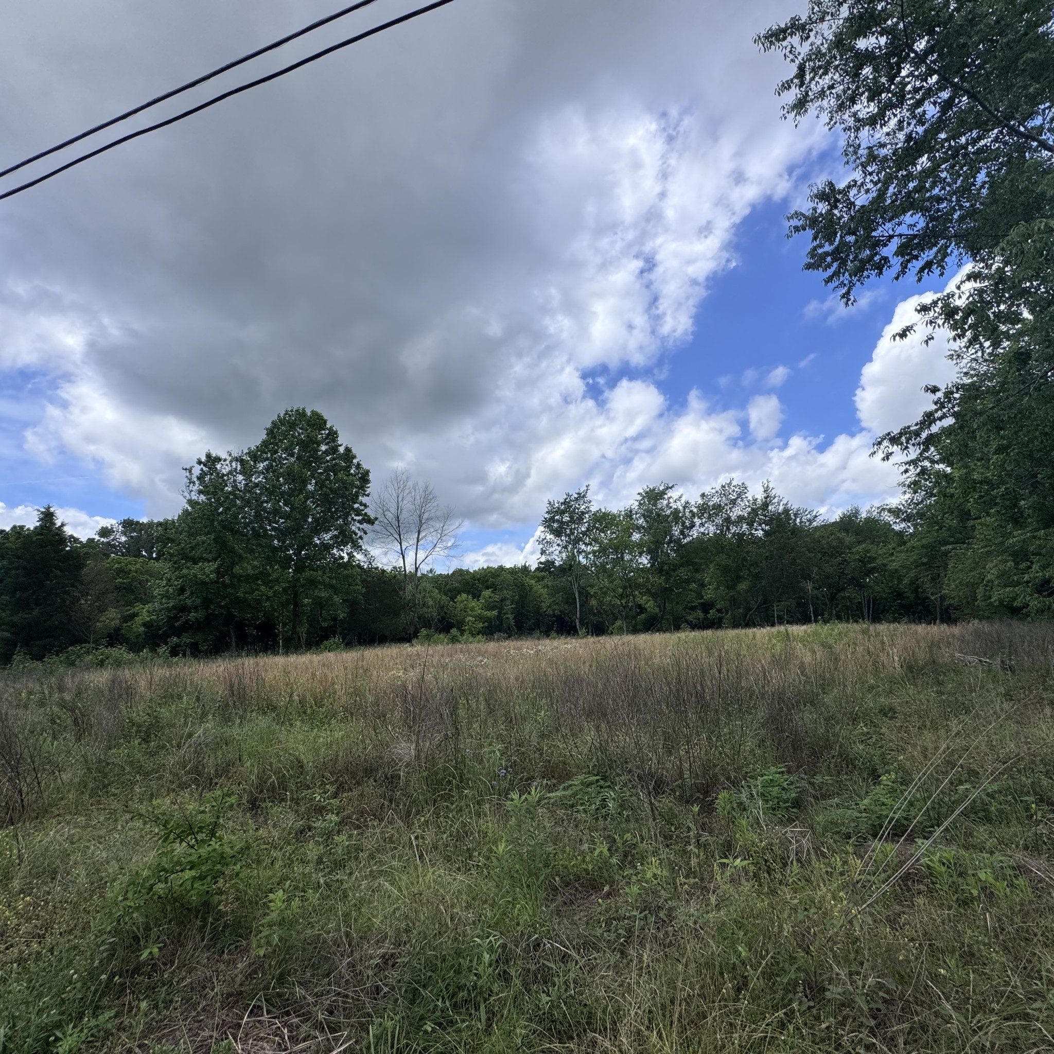 5 Poplar Ridge Lane Chapmansboro TN 37035