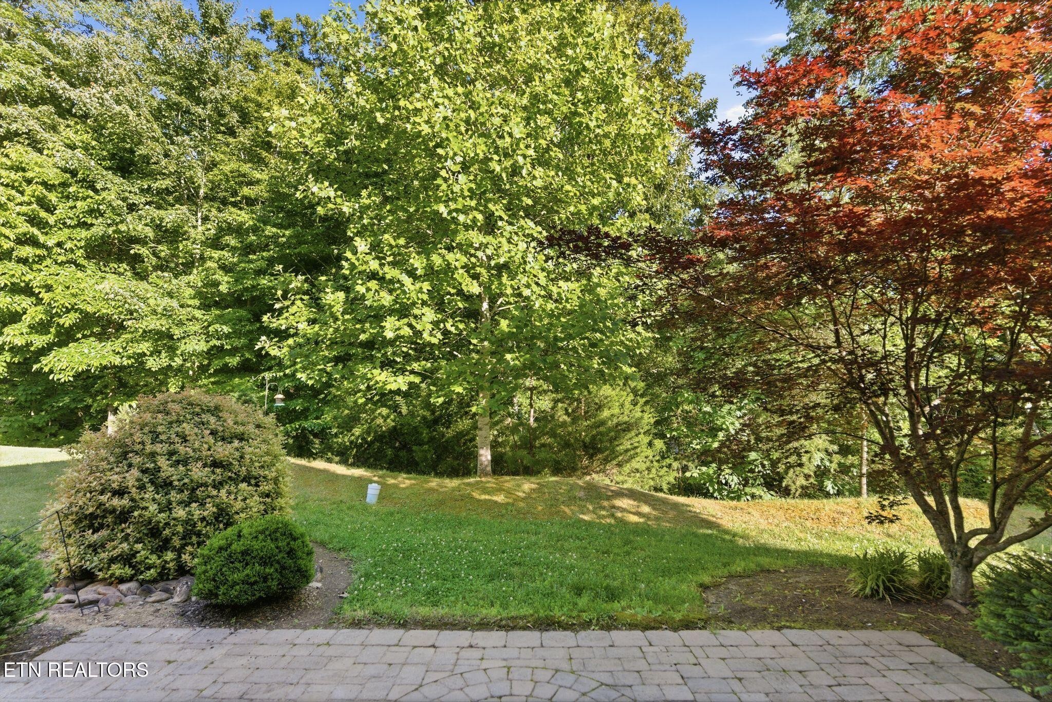 128 Ann Cove Lane Powell TN 37849