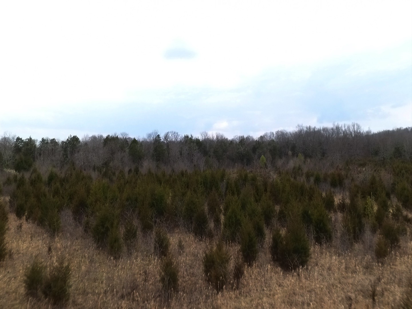 0 Moccasin Road Lebanon TN 37090