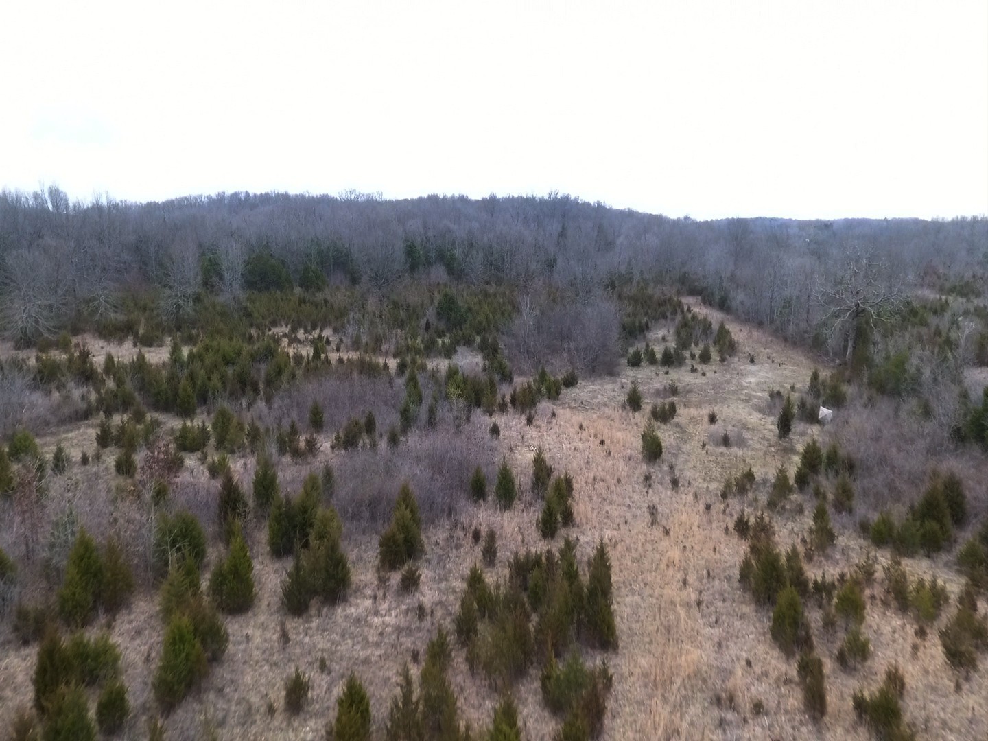 0 Moccasin Road Lebanon TN 37090