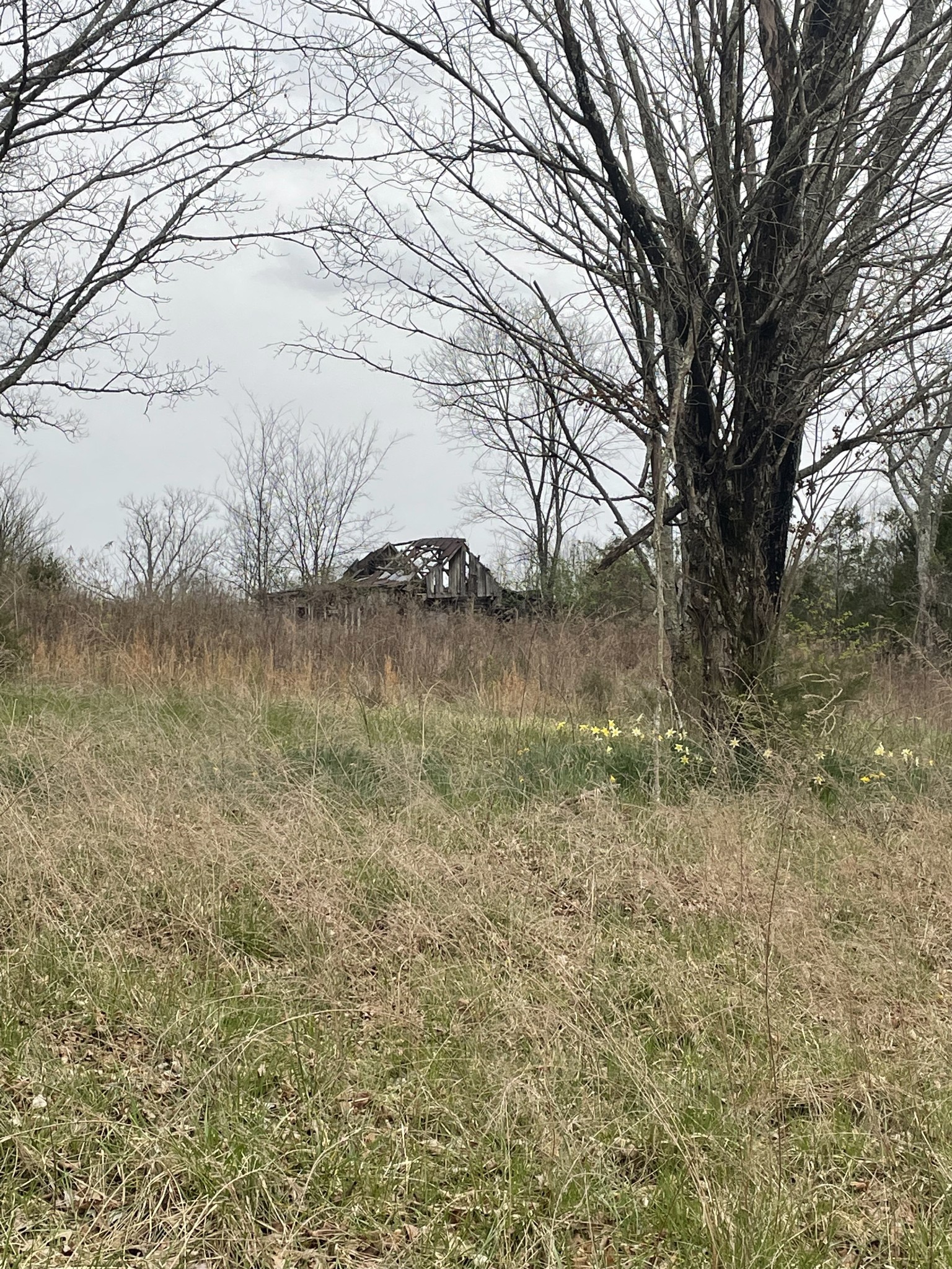 0 Moccasin Road Lebanon TN 37090
