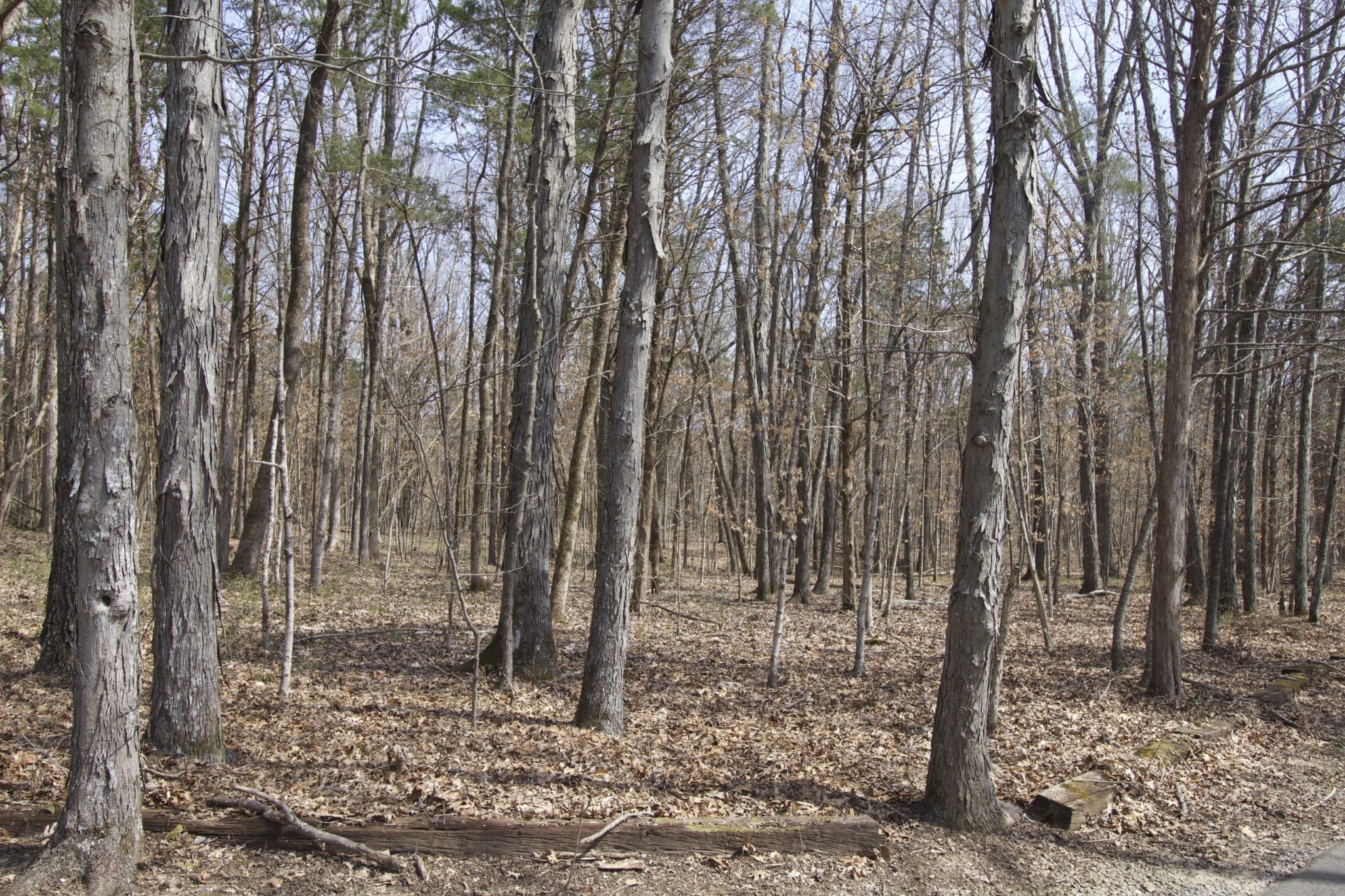 0 Moccasin Road Lebanon TN 37090