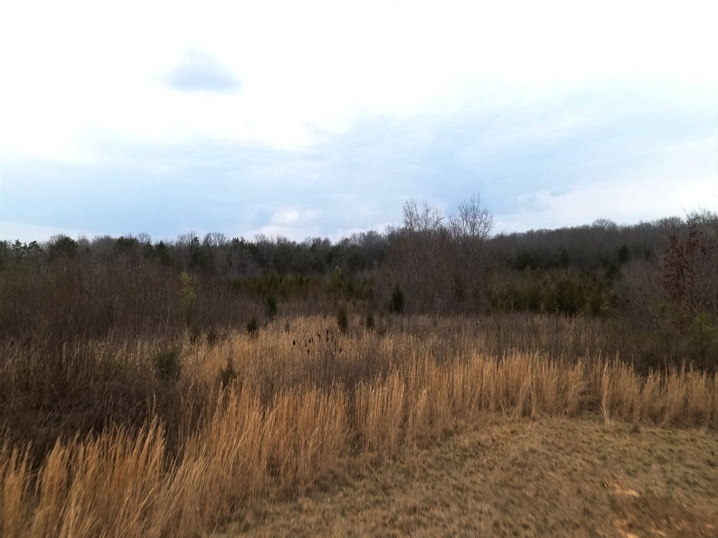 0 Moccasin Road Lebanon TN 37090