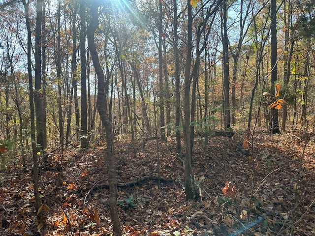 93 Ridgetop Drive Bon Aqua TN 37025