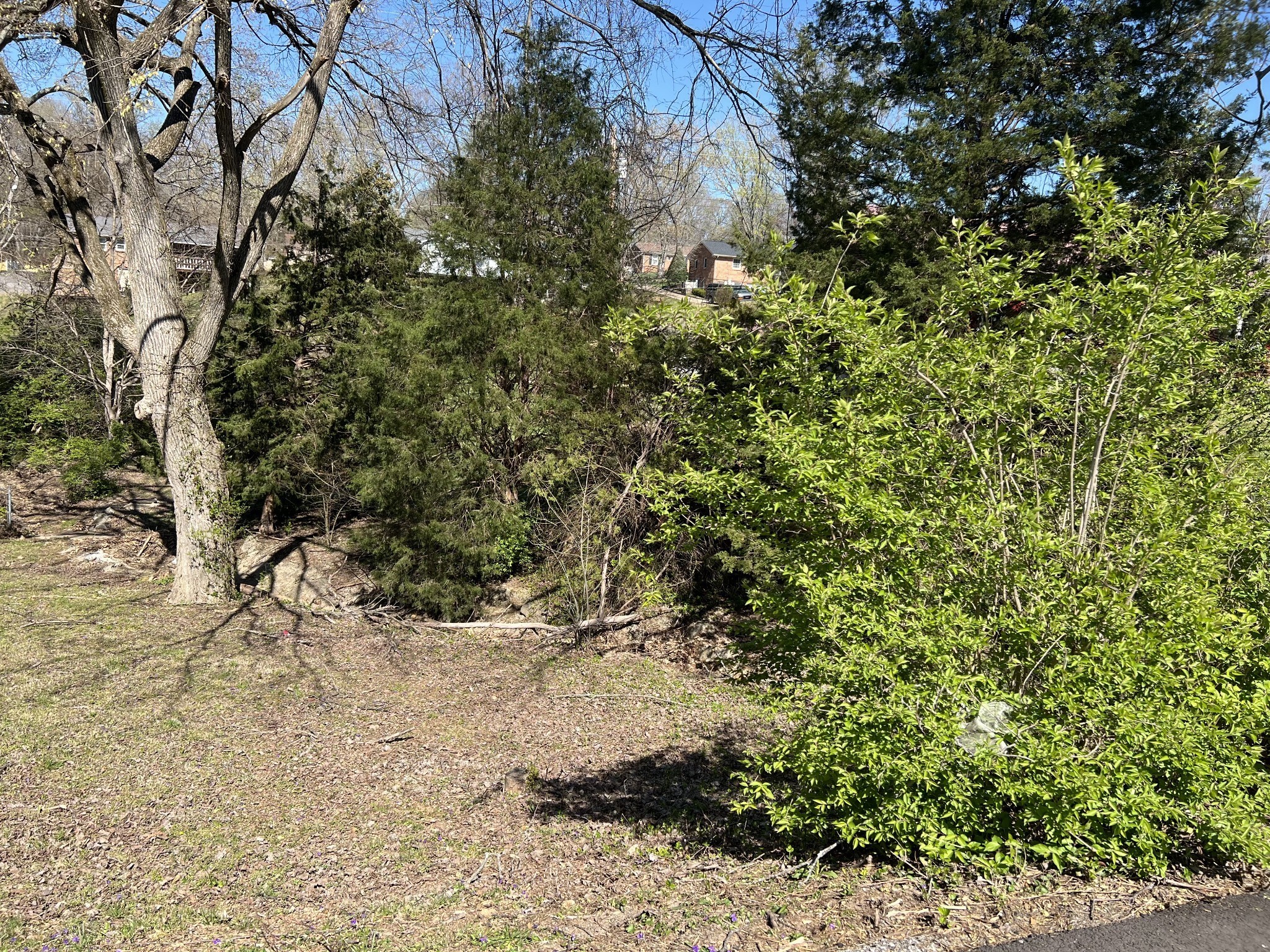 323 Clearview Drive Clarksville TN 37043